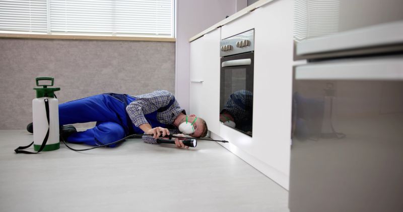 Childproofing Service